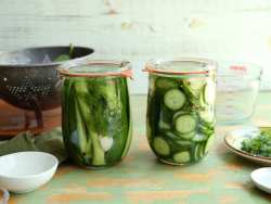 refrigerator pickles